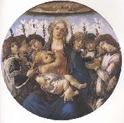 Sandro Botticelli Madonna and child with eight Angels or Raczinskj Tondo Sweden oil painting artist
